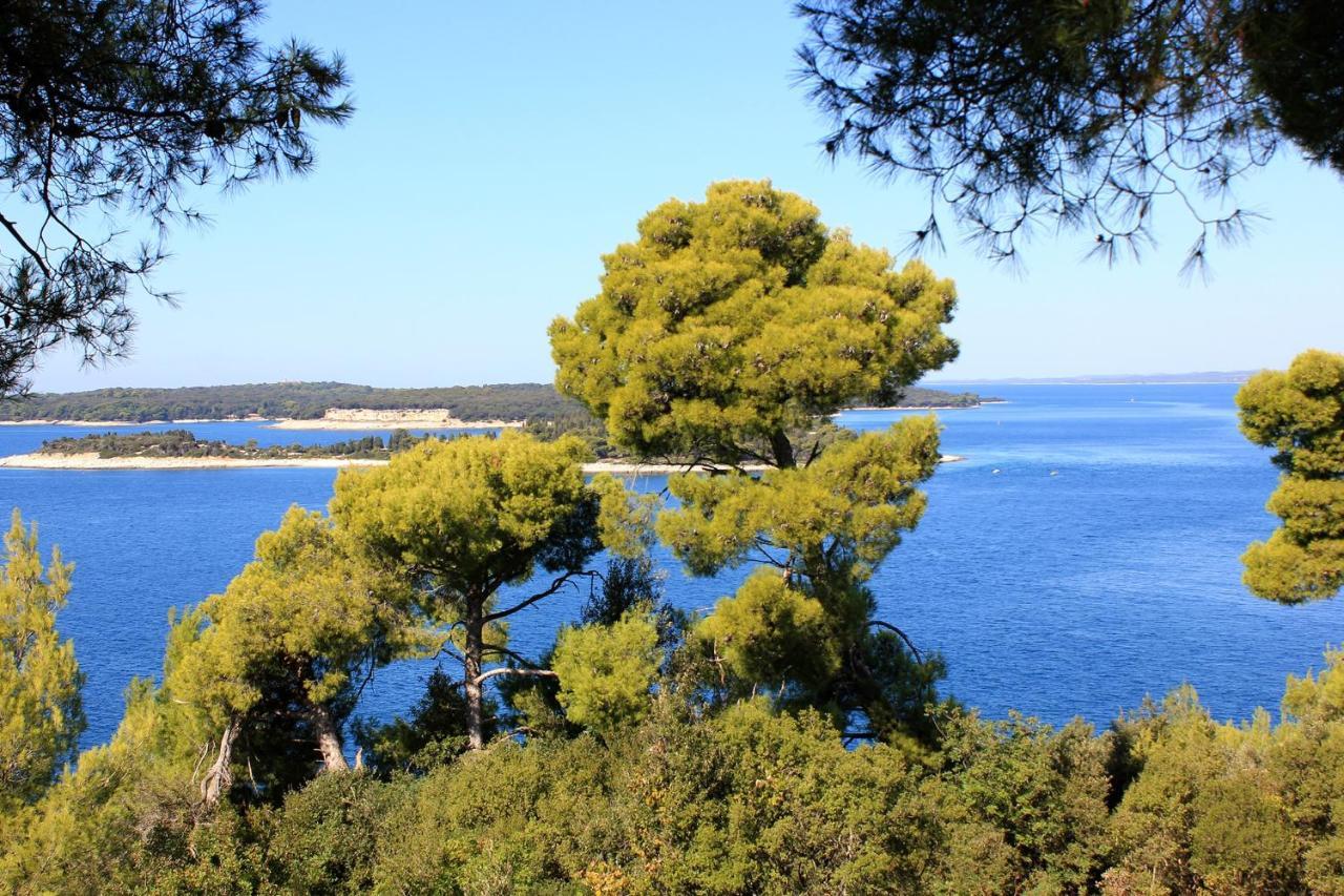 With A Parking Space Stinjan, - 20816 Apartman Pula